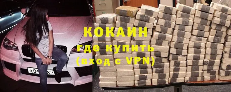 купить закладку  Новочебоксарск  COCAIN Эквадор 